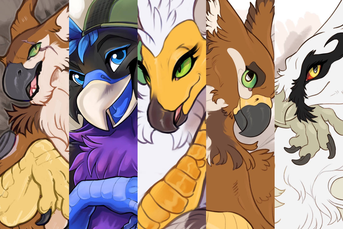 Daki Bundle