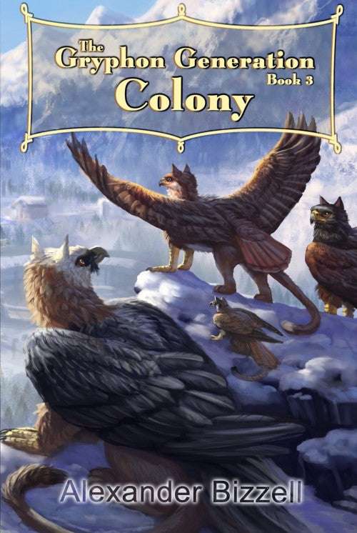 Book 3 Paperback